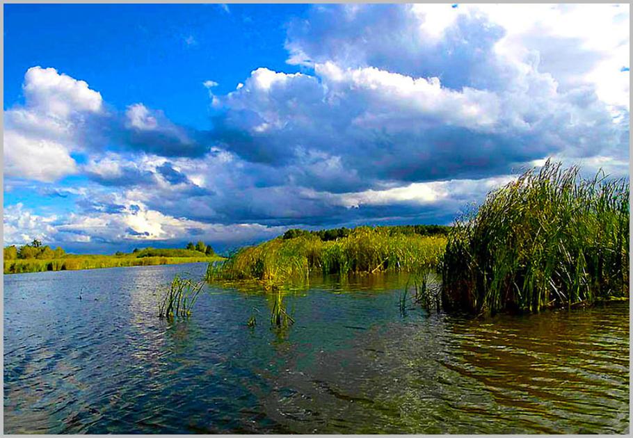 Jezioro Druno