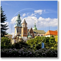 (73/98): Krakw Wawel Katedra