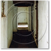 (14/48): Mamerki kwegorzewa bunkier wnetrze