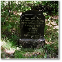 (38/56): Pogubie rednie cmentarz ewangelicki