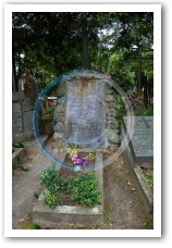 (99/138): Rosa grób Kondratowicza 'Syrokomli'