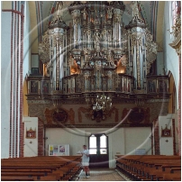 (29/67): Kamie Pomorski organy w katedrze