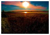 (19/54): Jezioro Łuknajno - zachód słońca