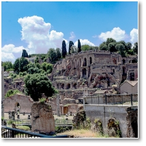 (83/124): Rzym, Forum Romanum