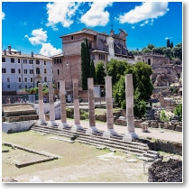 (85/124): Rzym, Forum Romanum
